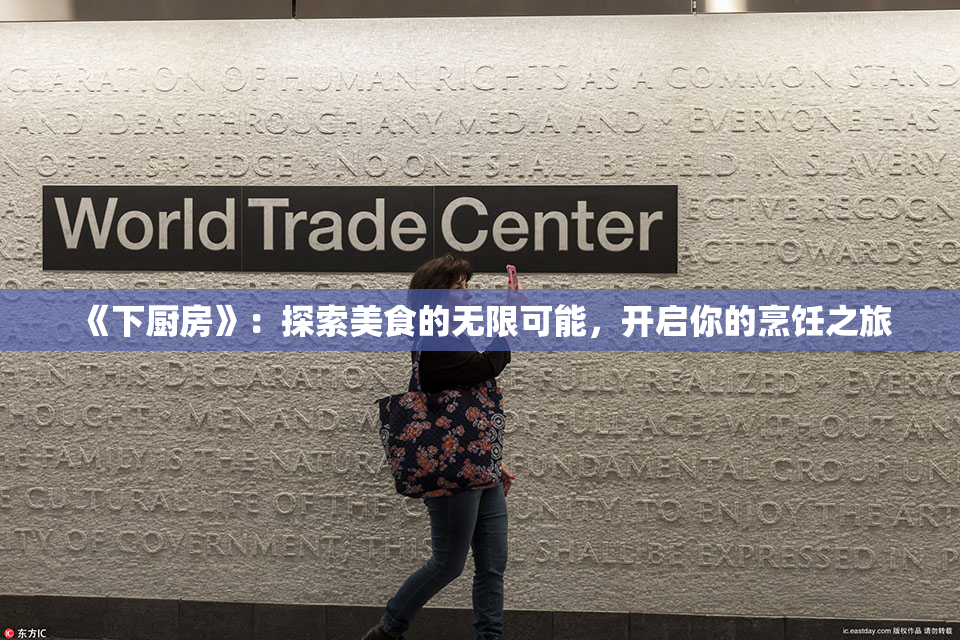 《下厨房》：探索美食的无限可能，开启你的烹饪之旅