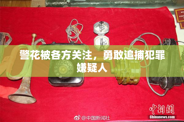警花被各方关注，勇敢追捕犯罪嫌疑人