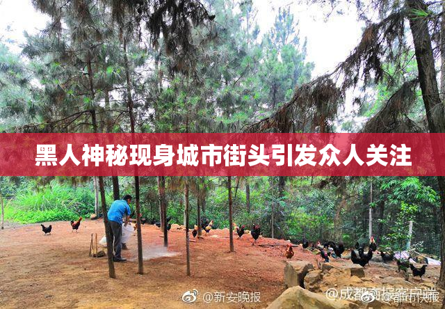 黑人神秘现身城市街头引发众人关注