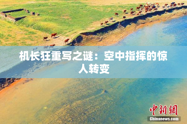 机长狂重写之谜：空中指挥的惊人转变