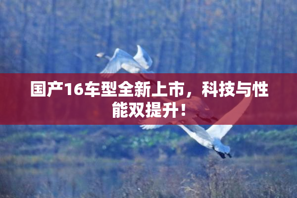 国产16车型全新上市，科技与性能双提升！