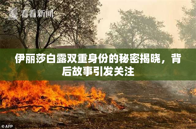 伊丽莎白露双重身份的秘密揭晓，背后故事引发关注