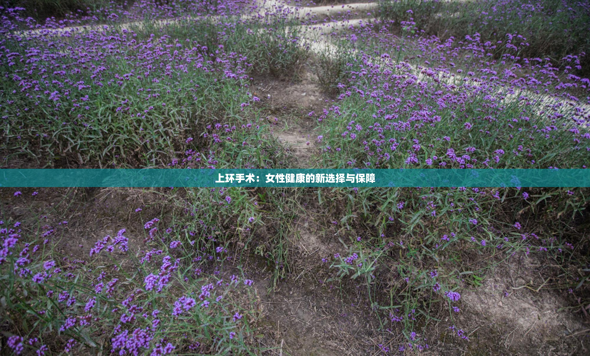 上环手术：女性健康的新选择与保障
