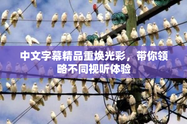 中文字幕精品重焕光彩，带你领略不同视听体验