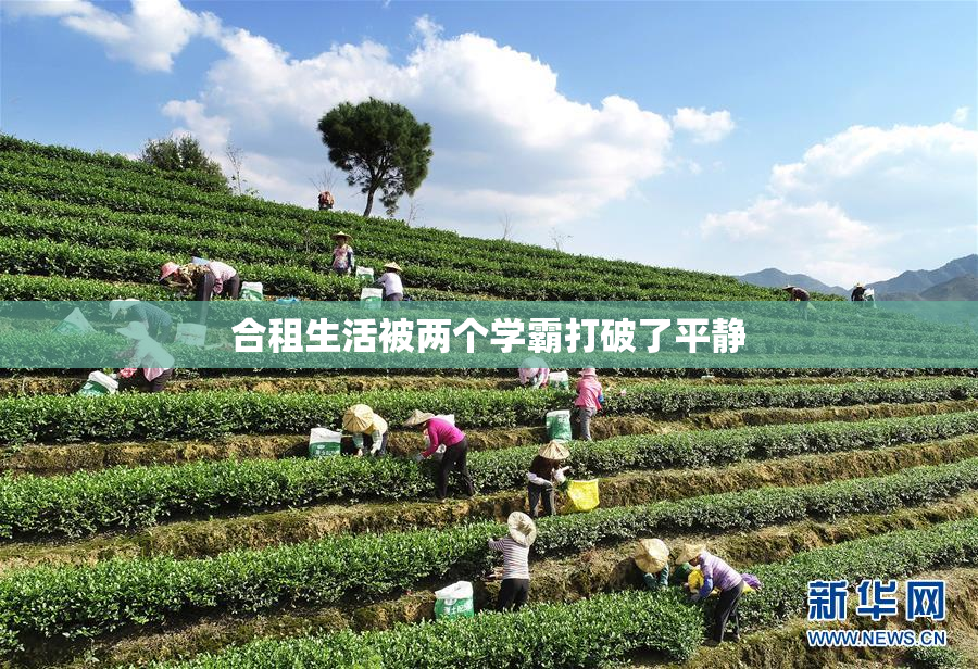 合租生活被两个学霸打破了平静