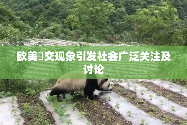 欧美嘼交现象引发社会广泛关注及讨论