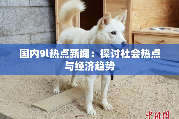 国内9l热点新闻：探讨社会热点与经济趋势