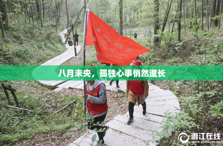 八月未央，孤独心事悄然滋长
