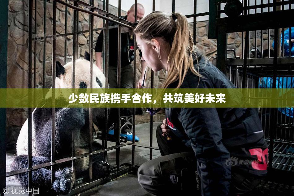 少数民族携手合作，共筑美好未来