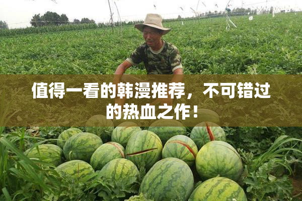 值得一看的韩漫推荐，不可错过的热血之作！