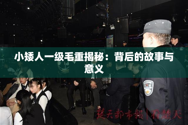 小矮人一级毛重揭秘：背后的故事与意义
