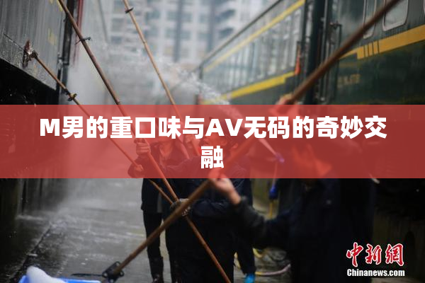 M男的重口味与AV无码的奇妙交融