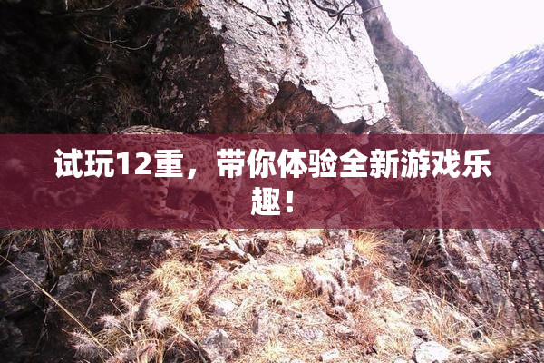试玩12重，带你体验全新游戏乐趣！