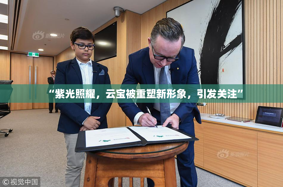 “紫光照耀，云宝被重塑新形象，引发关注”