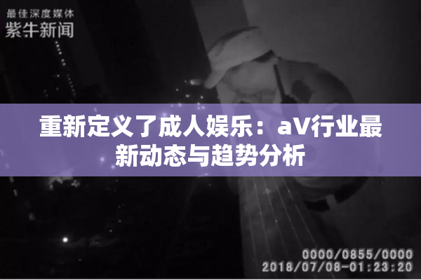重新定义了成人娱乐：aV行业最新动态与趋势分析