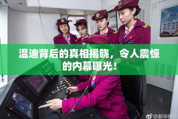 温迪背后的真相揭晓，令人震惊的内幕曝光！