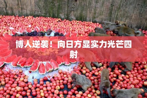博人逆袭！向日方显实力光芒四射
