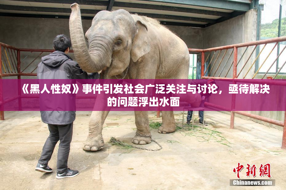 《黑人性奴》事件引发社会广泛关注与讨论，亟待解决的问题浮出水面