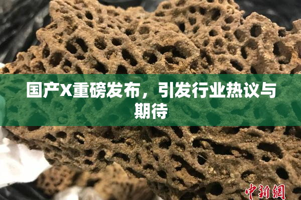 国产X重磅发布，引发行业热议与期待