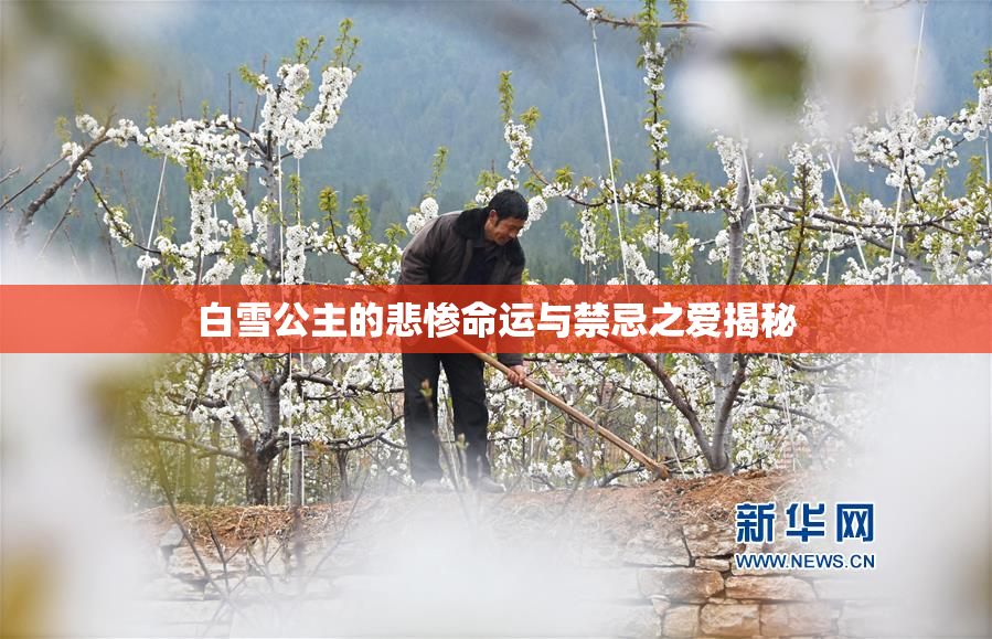 白雪公主的悲惨命运与禁忌之爱揭秘
