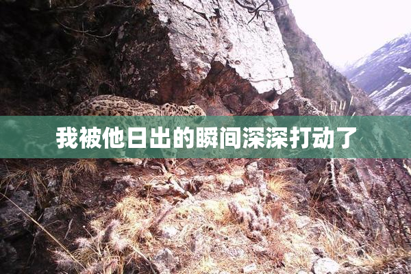 我被他日出的瞬间深深打动了