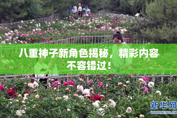 八重神子新角色揭秘，精彩内容不容错过！