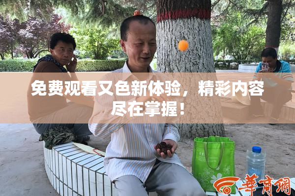 免费观看又色新体验，精彩内容尽在掌握！