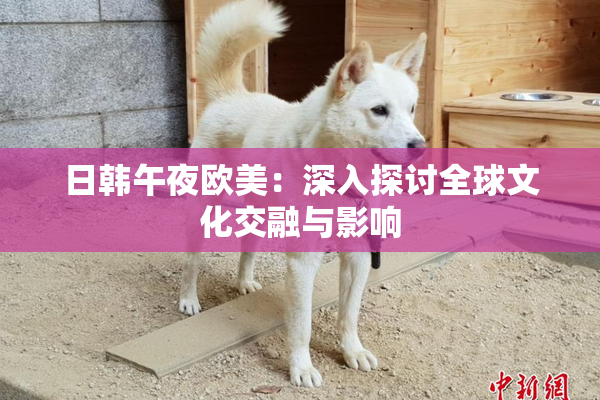 日韩午夜欧美：深入探讨全球文化交融与影响