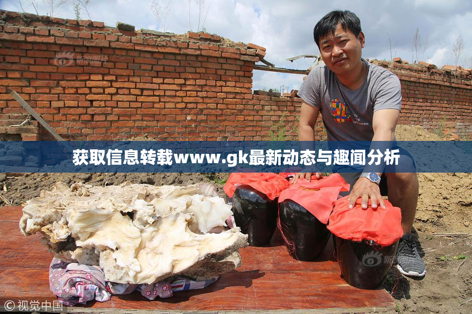 获取信息转载www.gk最新动态与趣闻分析