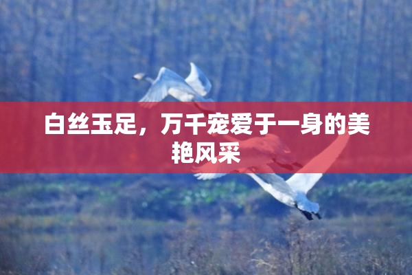 白丝玉足，万千宠爱于一身的美艳风采