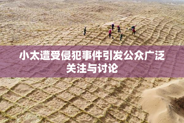 小太遭受侵犯事件引发公众广泛关注与讨论