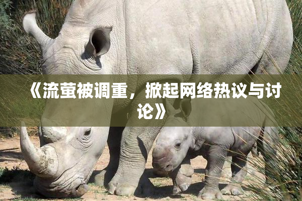 《流萤被调重，掀起网络热议与讨论》