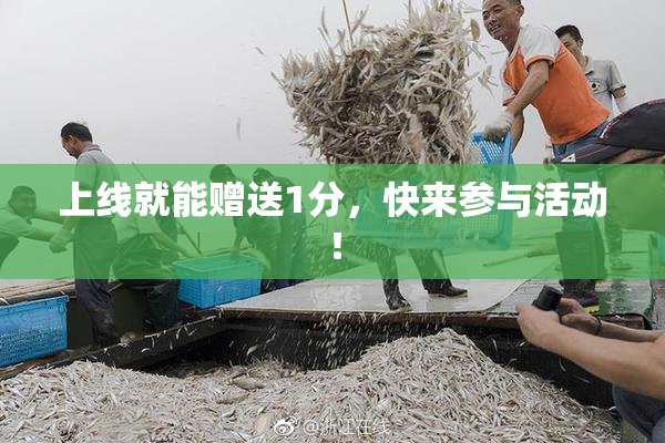 上线就能赠送1分，快来参与活动！