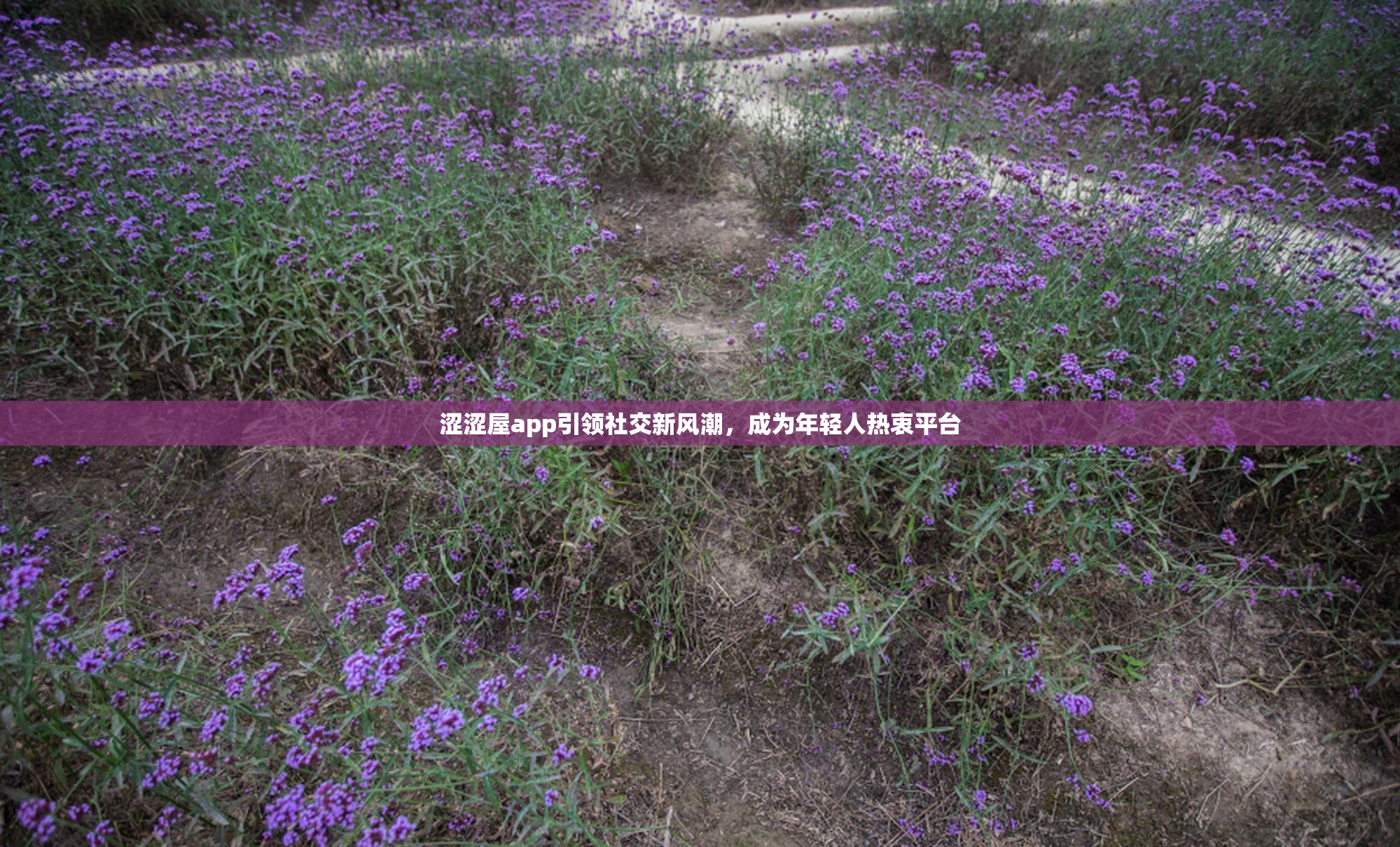 涩涩屋app引领社交新风潮，成为年轻人热衷平台