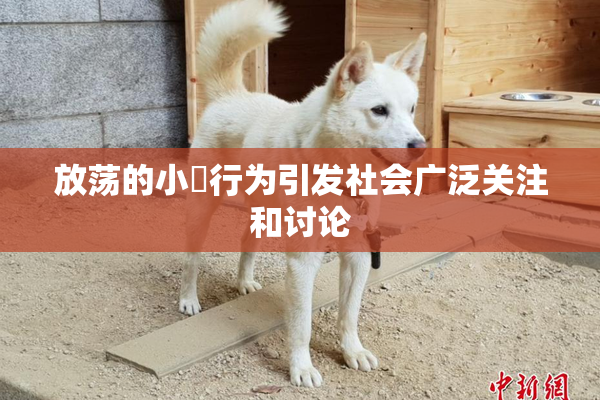 放荡的小婬行为引发社会广泛关注和讨论