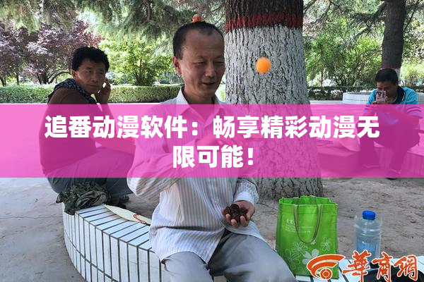 追番动漫软件：畅享精彩动漫无限可能！