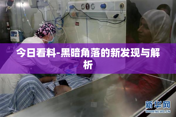 今日看料-黑暗角落的新发现与解析