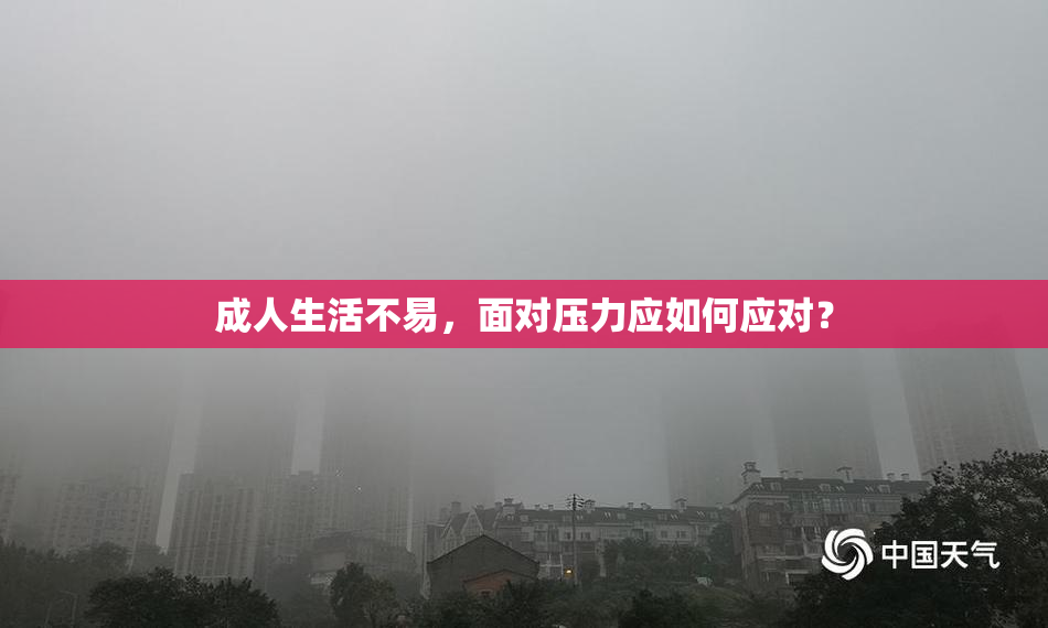 成人生活不易，面对压力应如何应对？