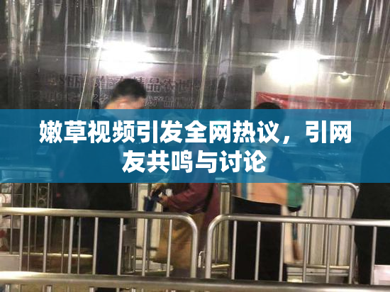 嫩草视频引发全网热议，引网友共鸣与讨论