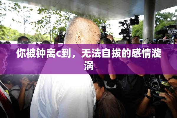 你被钟离c到，无法自拔的感情漩涡