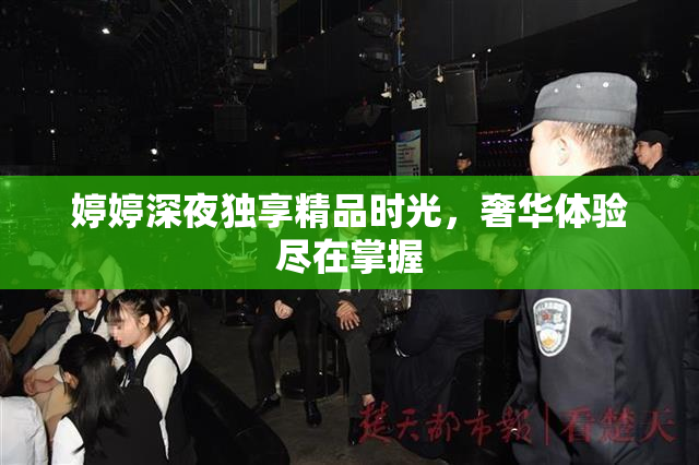 婷婷深夜独享精品时光，奢华体验尽在掌握