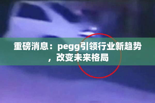 重磅消息：pegg引领行业新趋势，改变未来格局