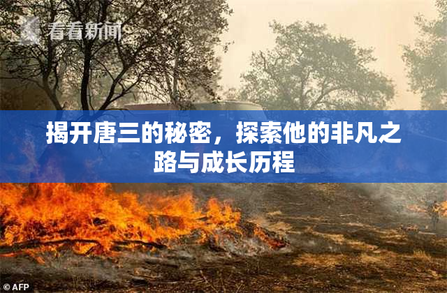 揭开唐三的秘密，探索他的非凡之路与成长历程