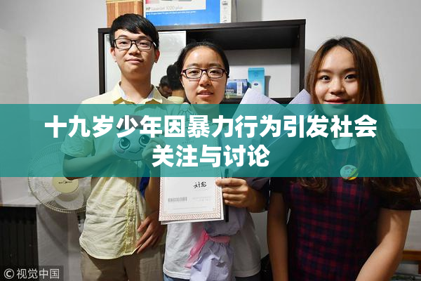 十九岁少年因暴力行为引发社会关注与讨论