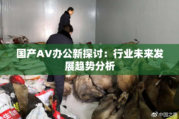 国产AV办公新探讨：行业未来发展趋势分析