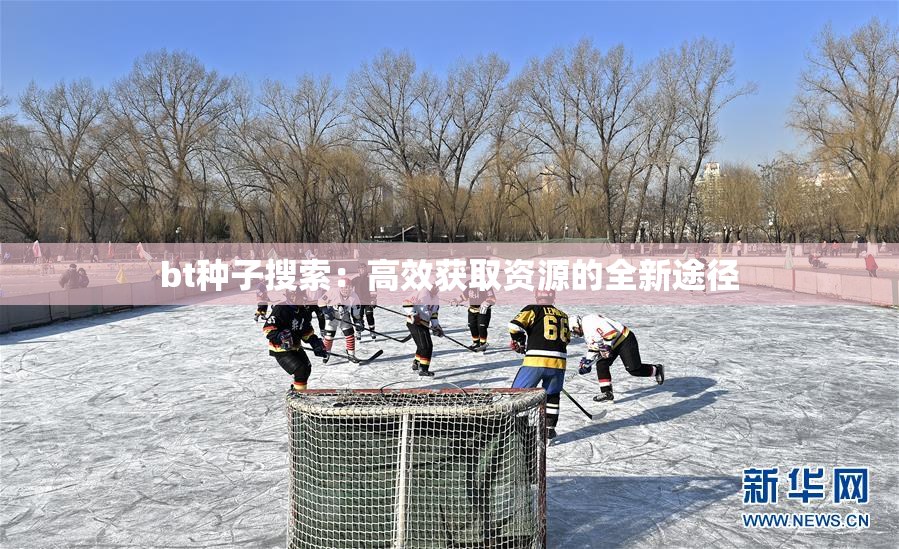 bt种子搜索：高效获取资源的全新途径