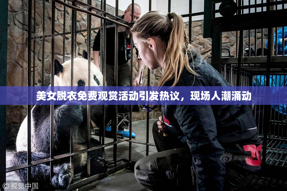美女脱衣免费观赏活动引发热议，现场人潮涌动
