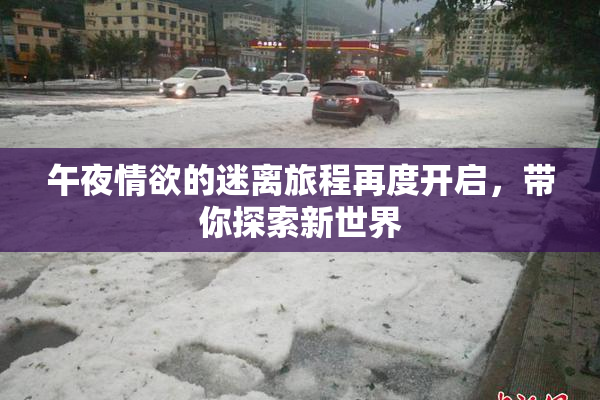 午夜情欲的迷离旅程再度开启，带你探索新世界