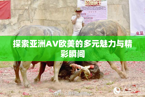 探索亚洲AV欧美的多元魅力与精彩瞬间