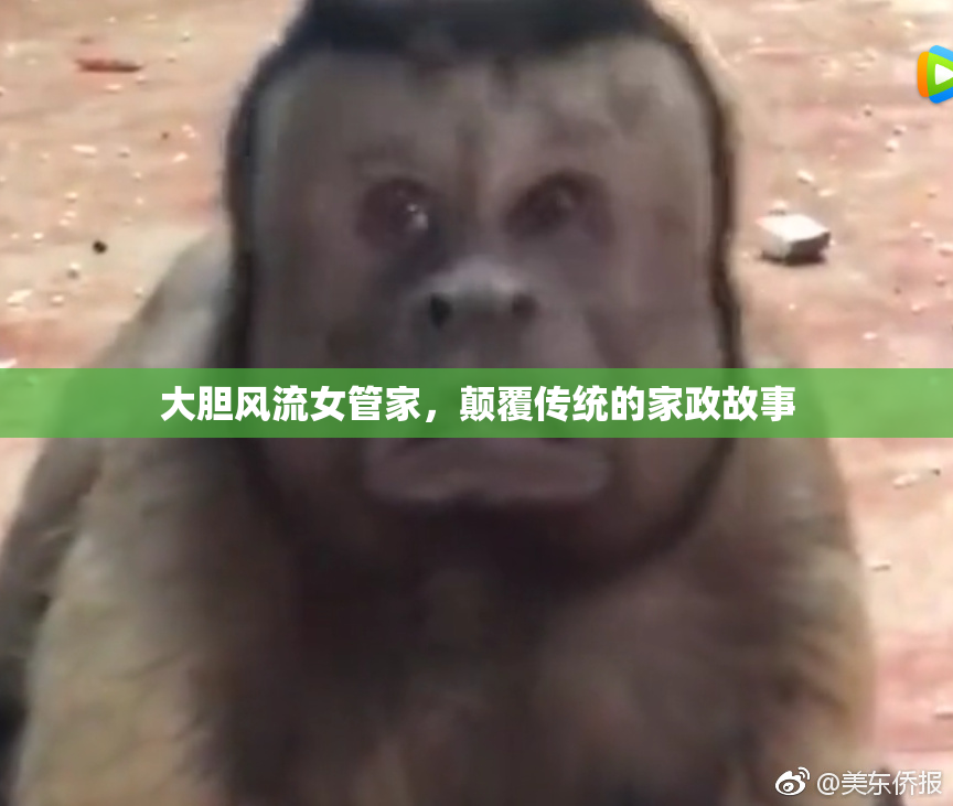 大胆风流女管家，颠覆传统的家政故事